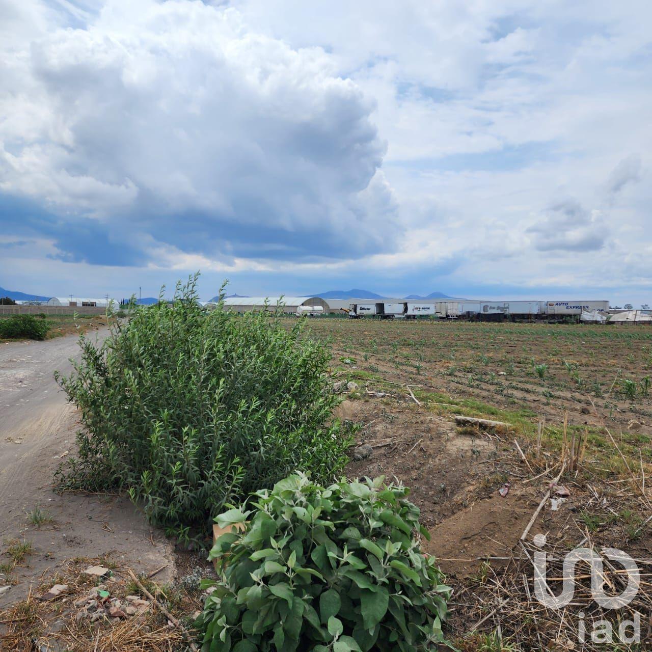 VENTA DE TERRENO INDUSTRIAL COCOTITLAN VENTA DE TERRENO INDUSTRIAL COCOTITLAN