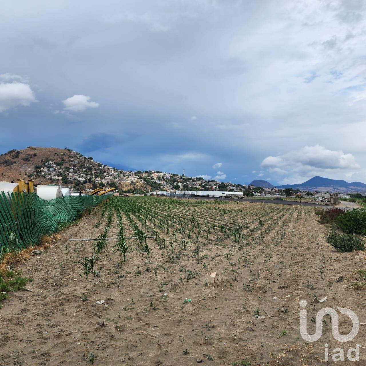 TERRENO INDUSTRIAL COCOTITLAN VENTA TERRENO INDUSTRIAL COCOTITLAN VENTA