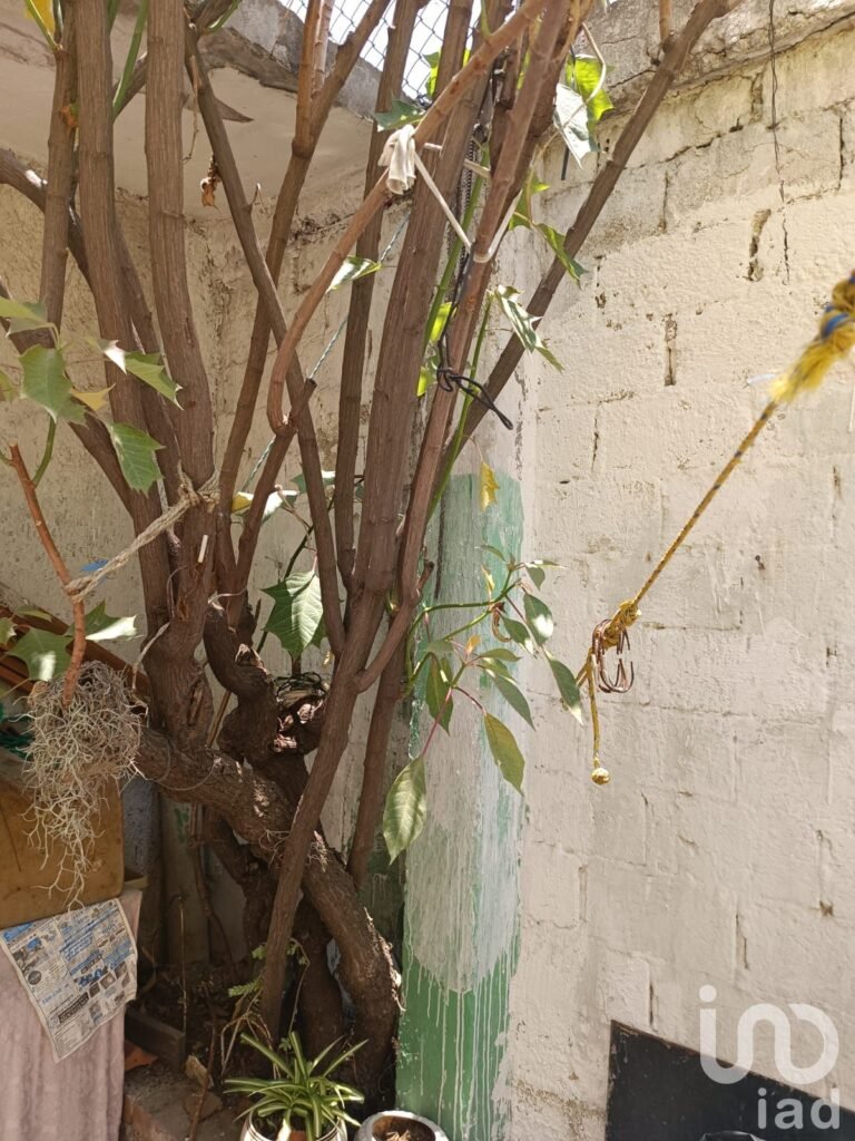 Se Vende Casa para Remodelar en la colonia 20 de noviembre, Alcaldía Venustiano Carranza, CDMX