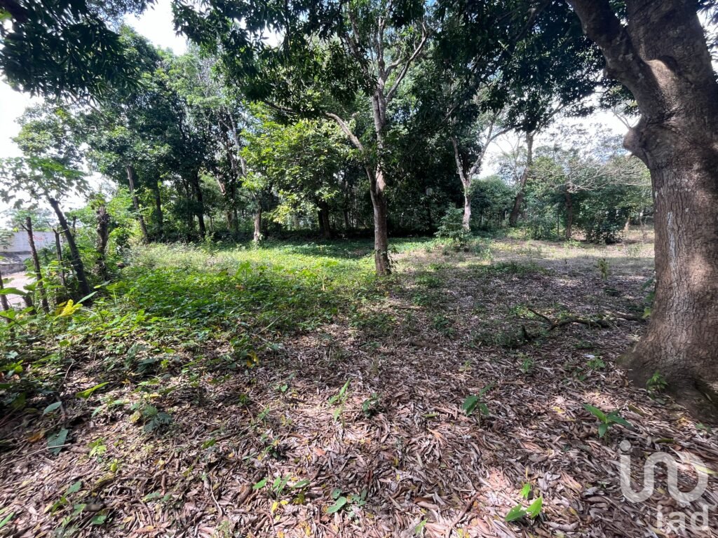 Terreno en venta en San Andrés Tuxtla, Veracruz, cerca de la unidad deportiva UNDESAT