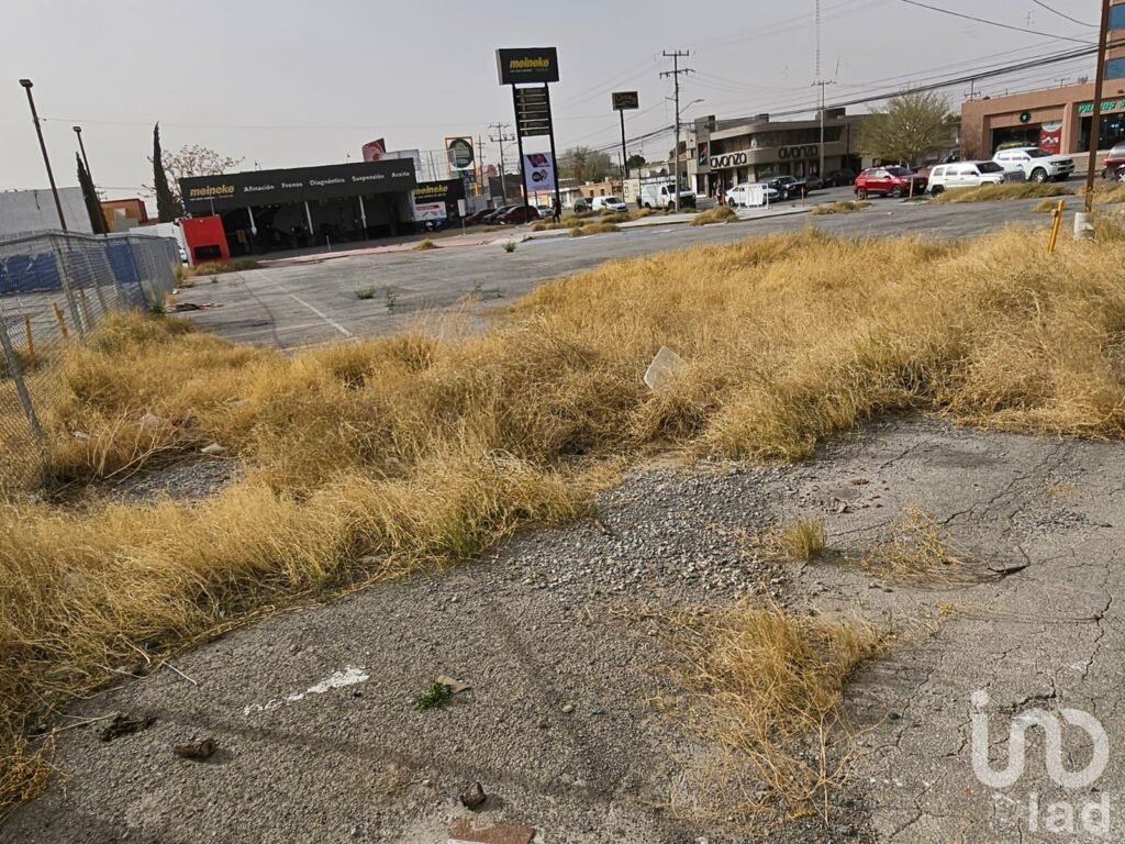 Terreno en Renta Zona Teresiano Raza