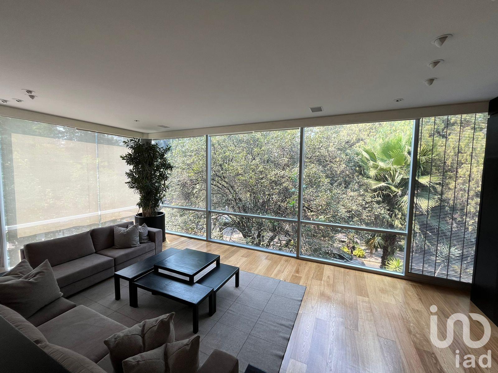 Se renta departamento duplex con vista al Parque lincoln Se renta departamento duplex con vista al Parque lincoln