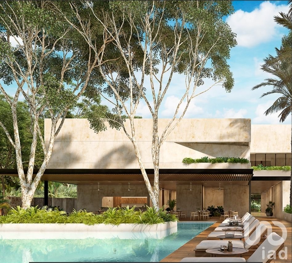 Venta de terreno en Campo Magno. Dzibilchaltún, Yucatán.