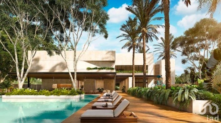 Venta de terreno en Campo Magno. Dzibilchaltún, Yucatán.