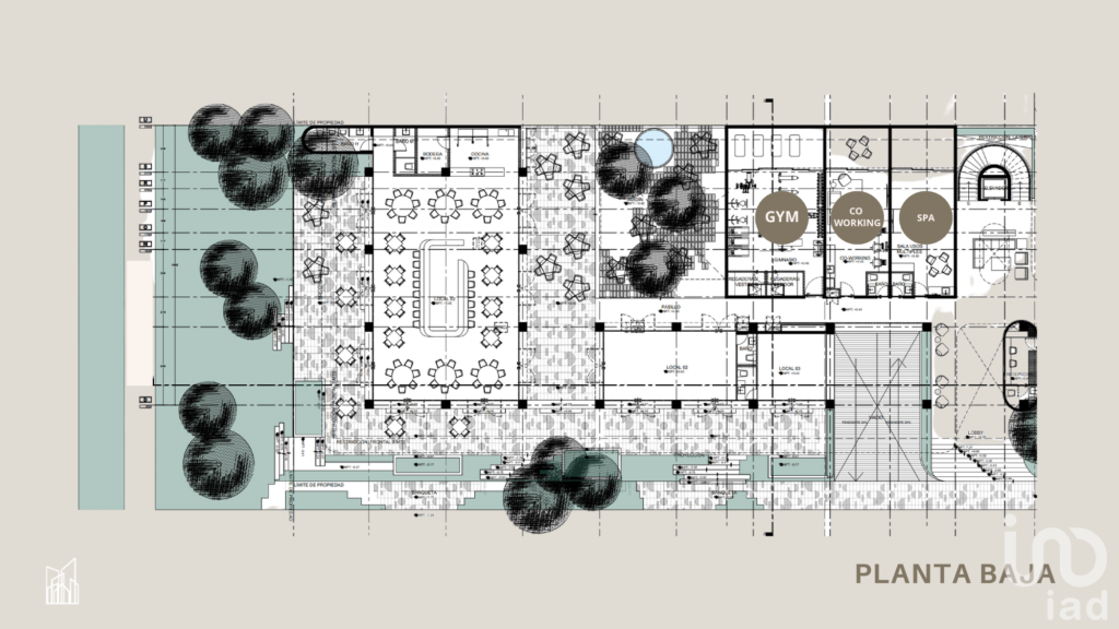 Se venden departamentos de lujo en Tulum