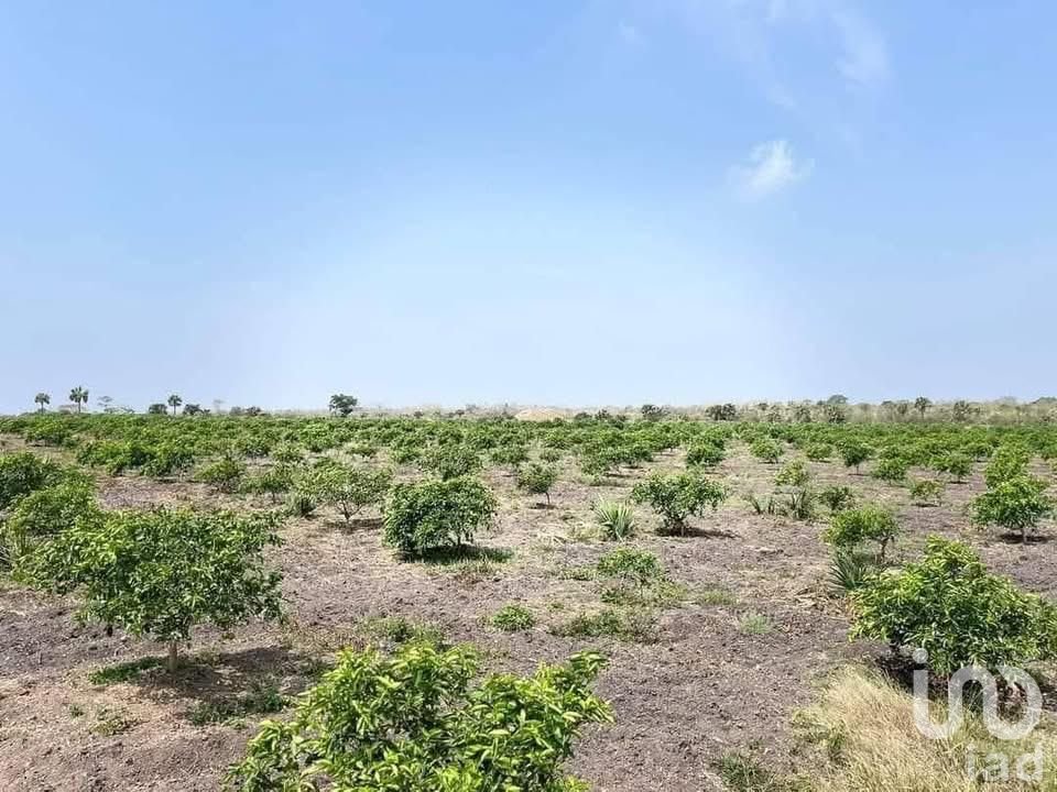 VENTA 23 HECTAREAS DE TERRENO EN TAMPICO ALTO VERACRUZ.