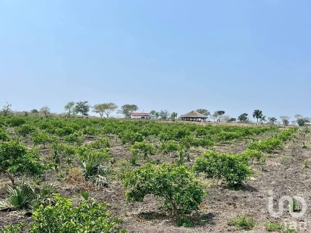 VENTA 23 HECTAREAS DE TERRENO EN TAMPICO ALTO VERACRUZ.