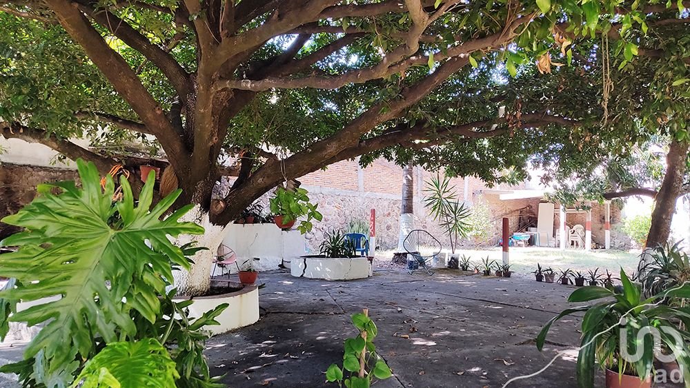 Casa en venta, amplio terreno con arboles frutales, zona centro en Puente de Ixtla Morelos.
