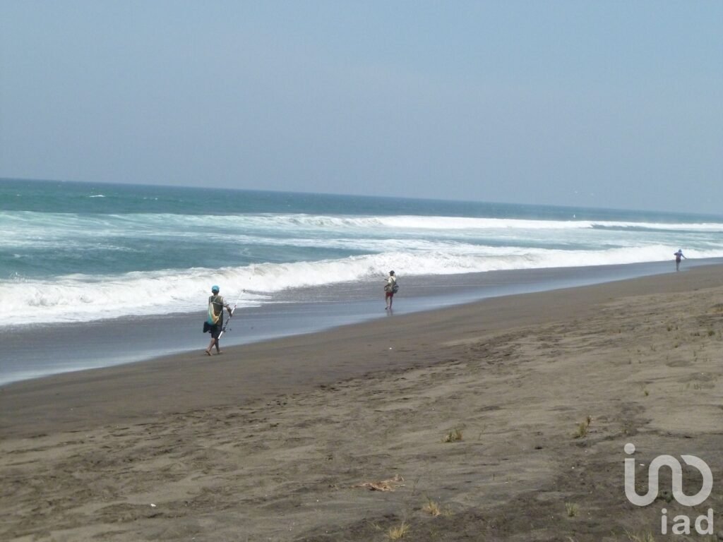 TERRENO EN VENTA A PIE DE PLAYA EN TECUANILLO, TECOMÁN COLIMA