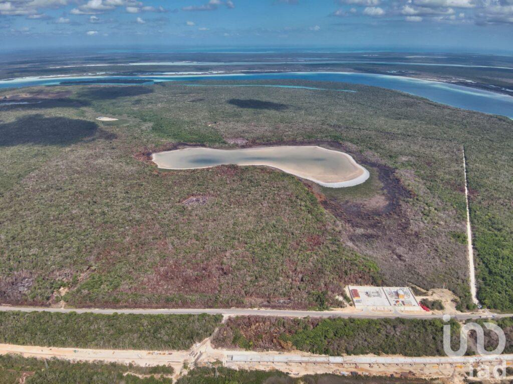 GRAN RESERVA BACALAR