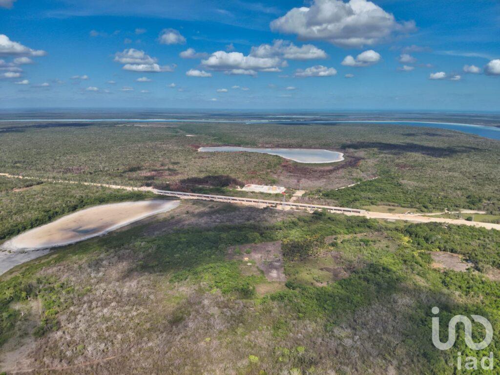 GRAN RESERVA BACALAR