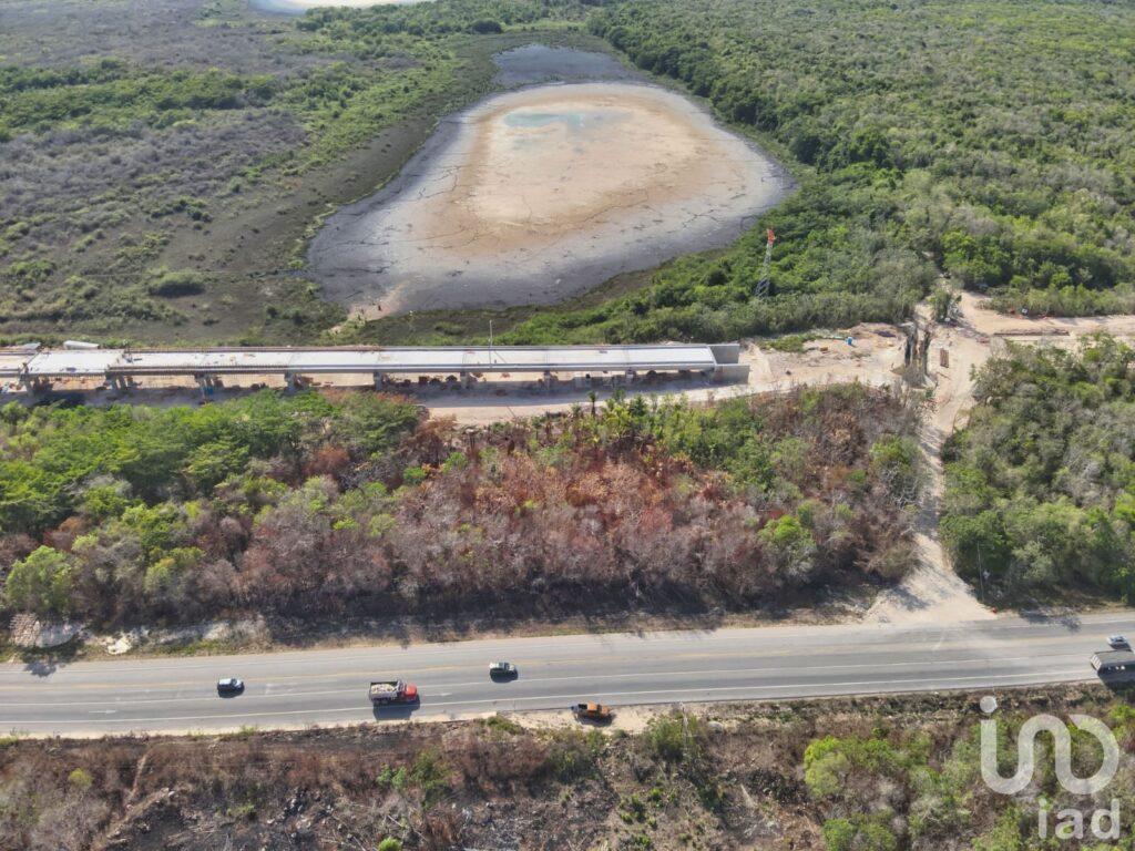 GRAN RESERVA BACALAR