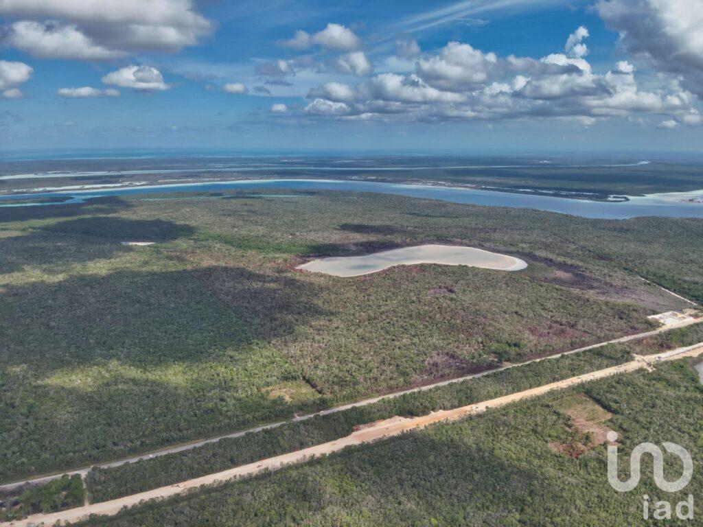 GRAN RESERVA BACALAR