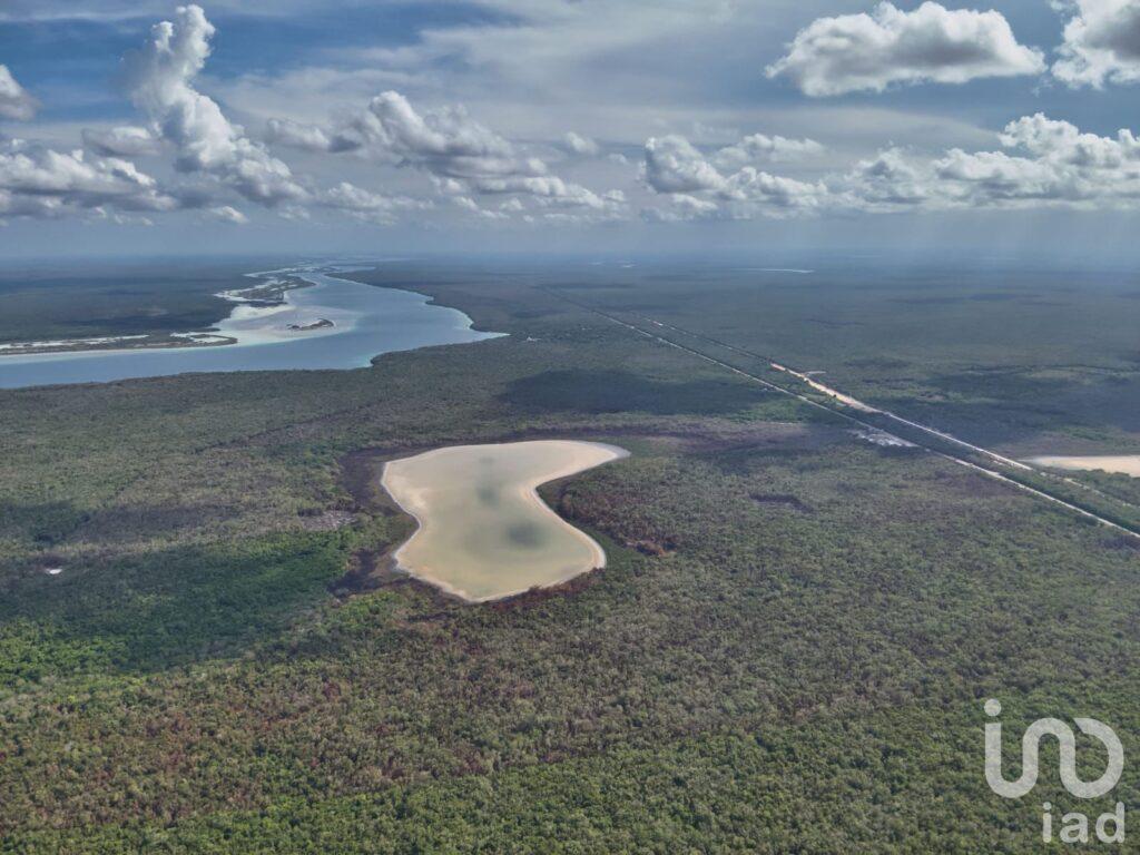 GRAN RESERVA BACALAR