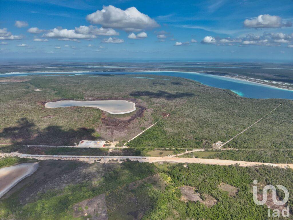 GRAN RESERVA BACALAR