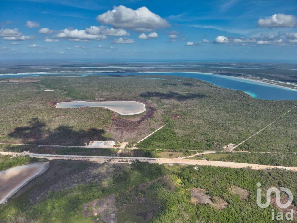 GRAN RESERVA BACALAR