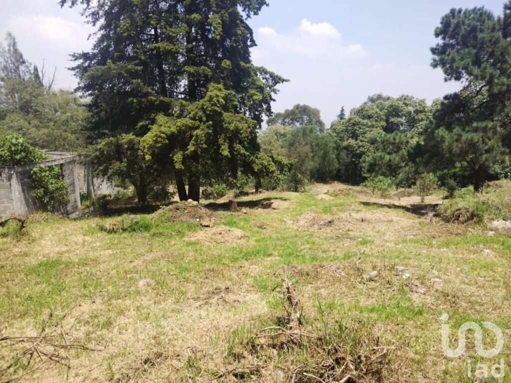 TERRENO EN VENTA EN SAN ANDRES TOTOLTEPEC TLALPAN