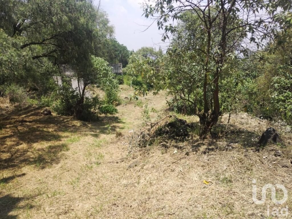 TERRENO EN VENTA EN SAN ANDRES TOTOLTEPEC TLALPAN