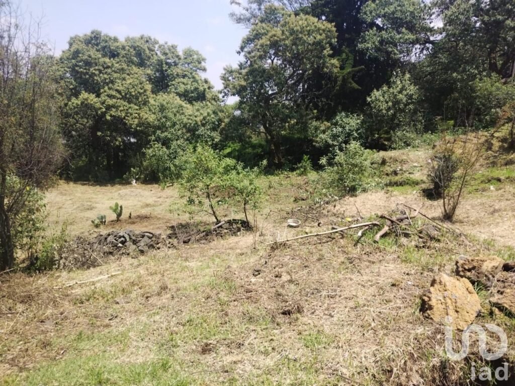 TERRENO EN VENTA EN SAN ANDRES TOTOLTEPEC TLALPAN