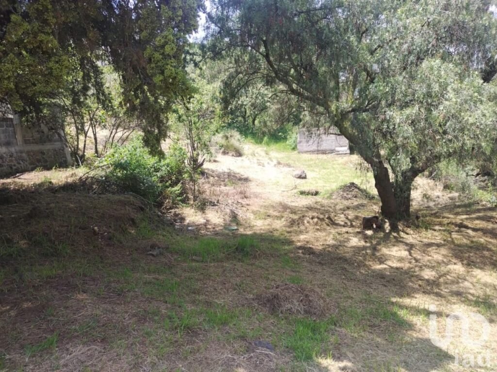 TERRENO EN VENTA EN SAN ANDRES TOTOLTEPEC TLALPAN