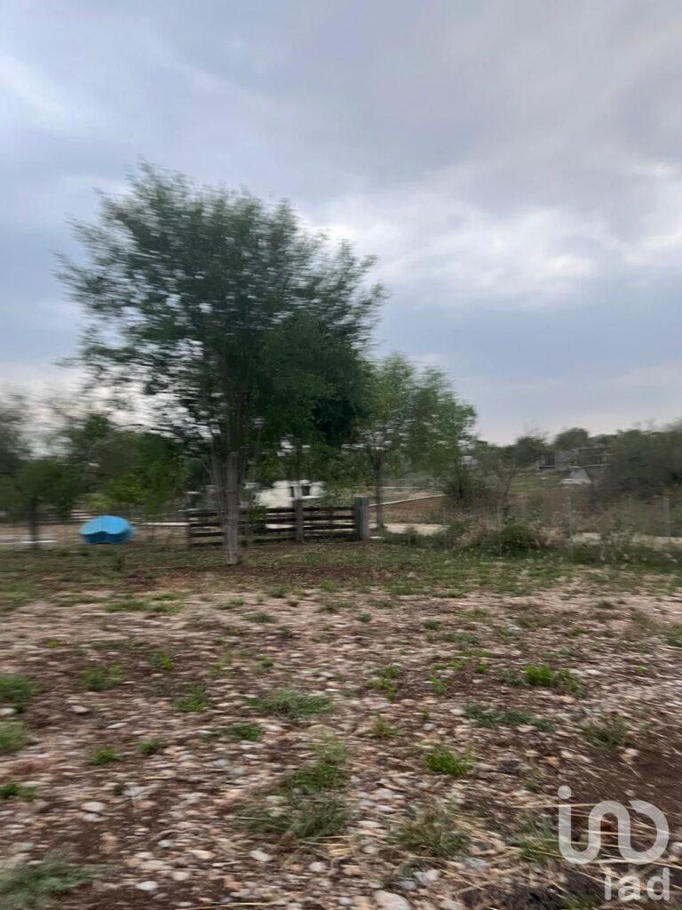 RESIDENCIAL MIL ENCINOS