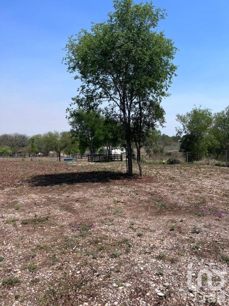 RESIDENCIAL MIL ENCINOS