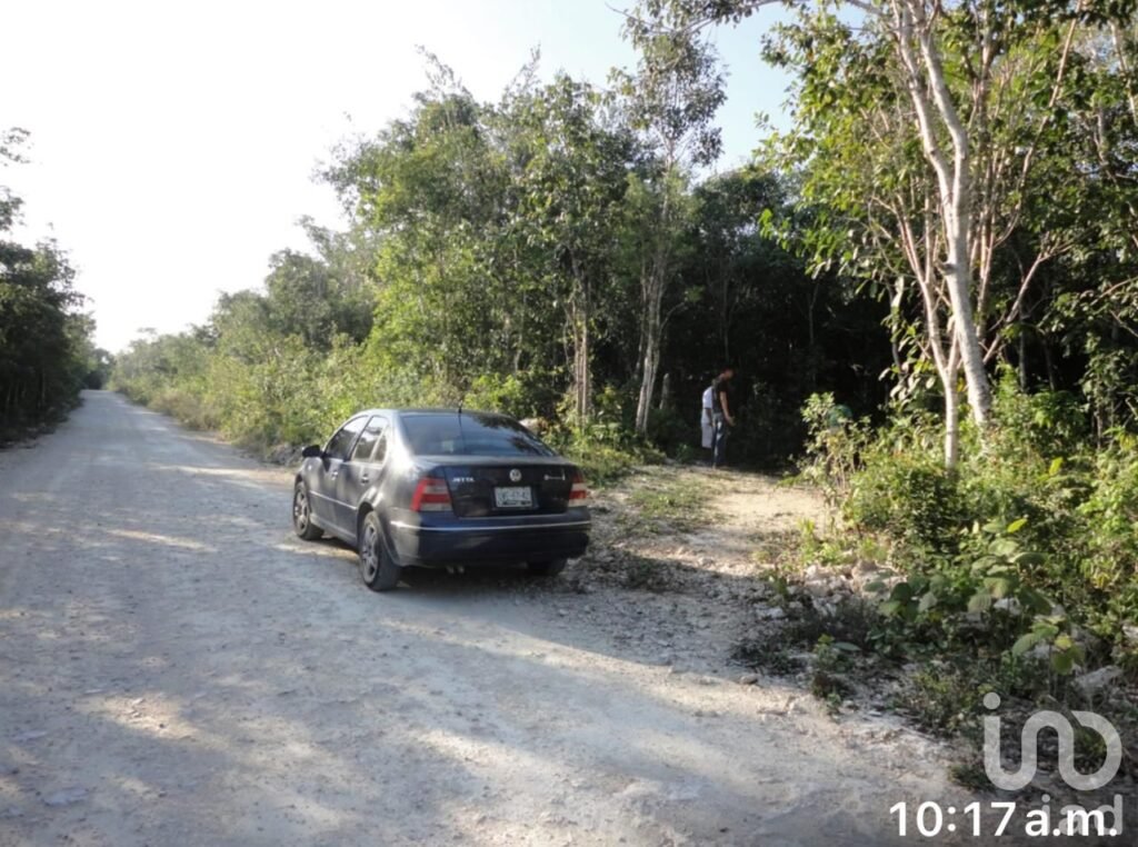 Paraiso en crecimiento 200 hectareas ideales  para resort o eco-turismo