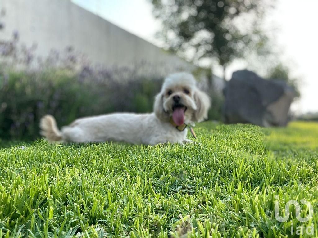 TERRENOS EN VENTA EN FRACCIONAMIENTO CASTELA RESERVA RESIDENCIAL UBICADO EN CELAYA, GUANAJUATO