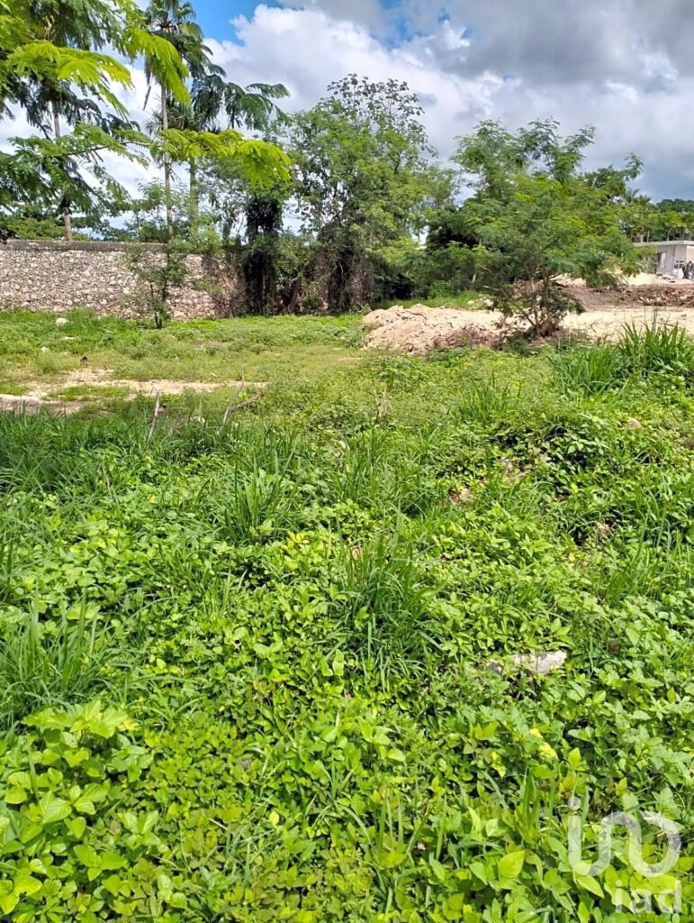 VENTA TERRENO EN MÉRIDA, ZONA CHICHÍ SUÁREZ