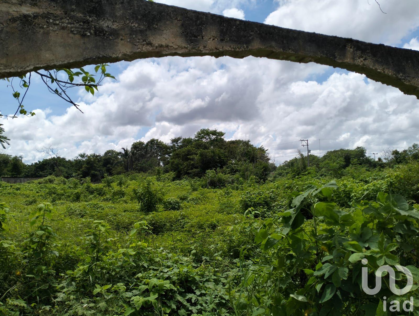 VENTA TERRENO EN MÉRIDA, ZONA CHICHÍ SUÁREZ VENTA TERRENO EN MÉRIDA, ZONA CHICHÍ SUÁREZ