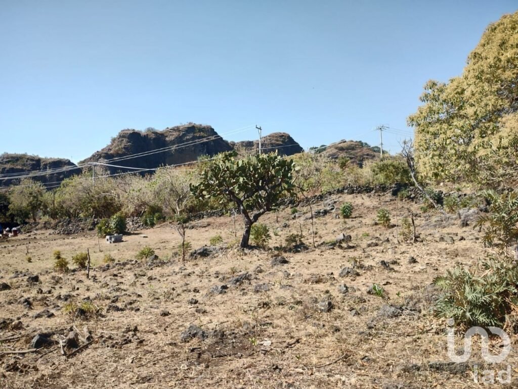 Terreno en venta, 1171 m2 en Santo Domingo Ocotitlán, Tepoztlán