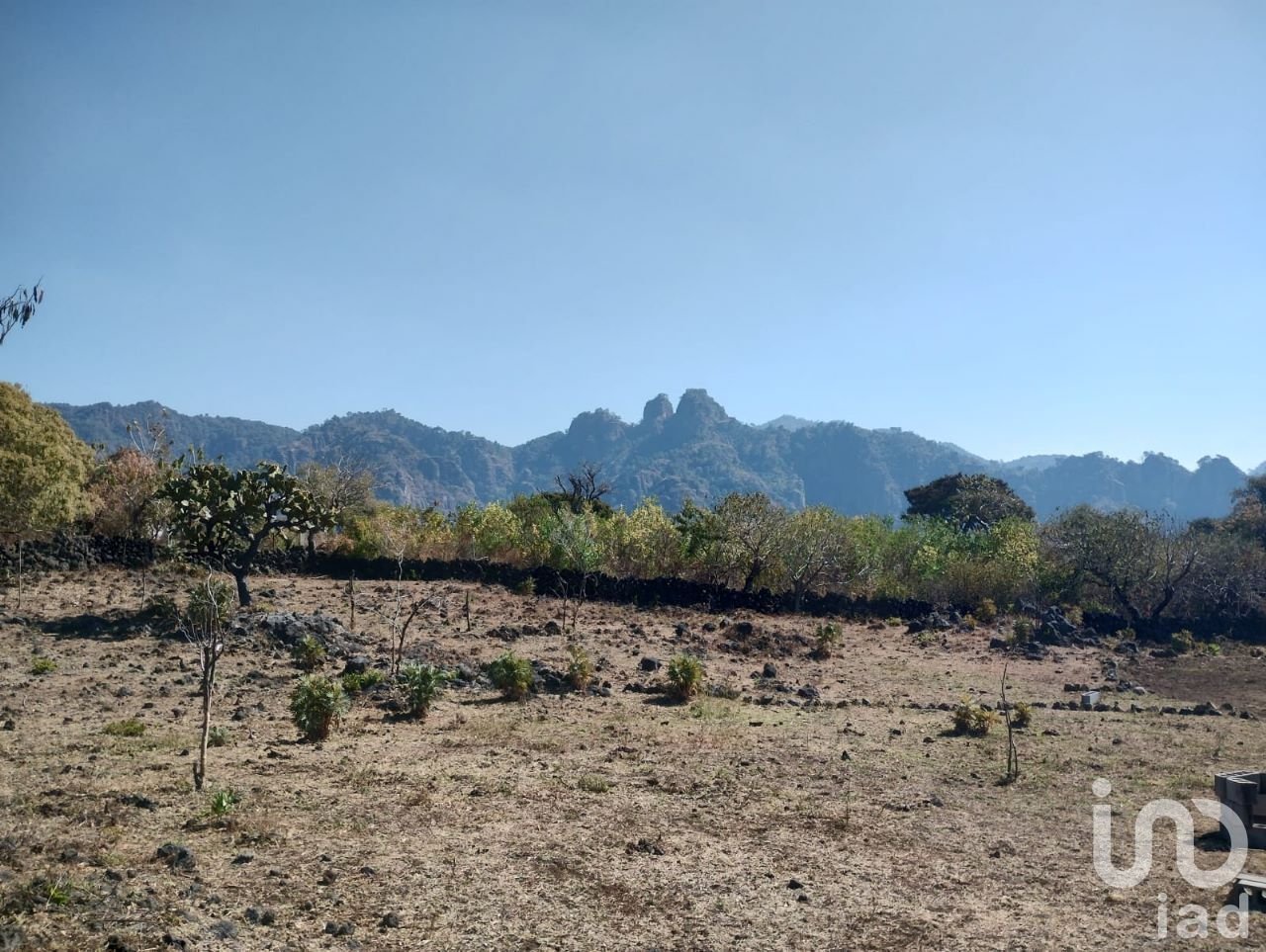Terreno en venta, 1171 m2 en Santo Domingo Ocotitlán, Tepoztlán Terreno en venta, 1171 m2 en Santo Domingo Ocotitlán, Tepoztlán