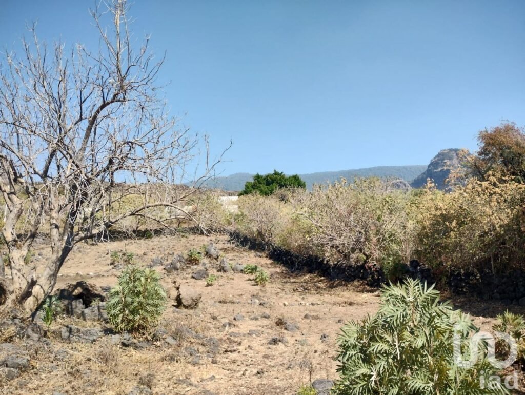 Terreno en Tepoztlán, Santo Domingo Ocotitltán, uso residencial