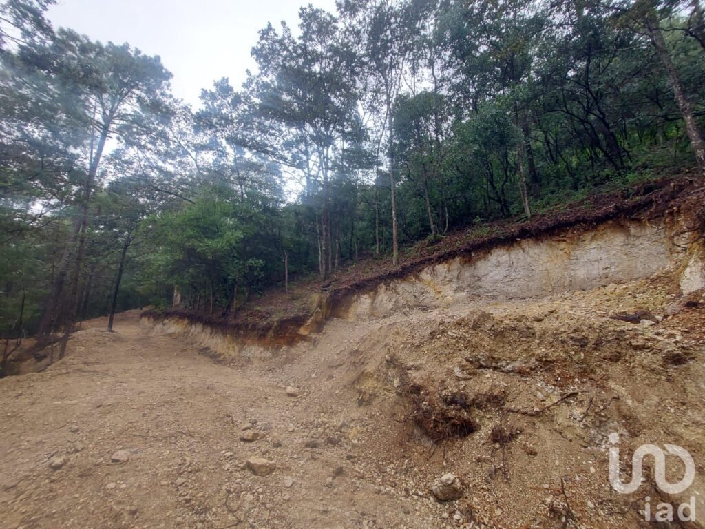 Terreno en Venta en Kaltic