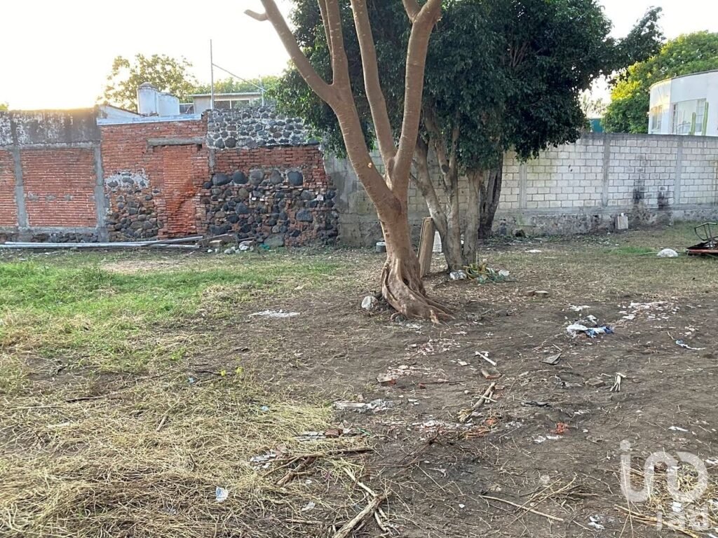 Terreno en venta en Sufragio Efectivo, Cuautla, Morelos
