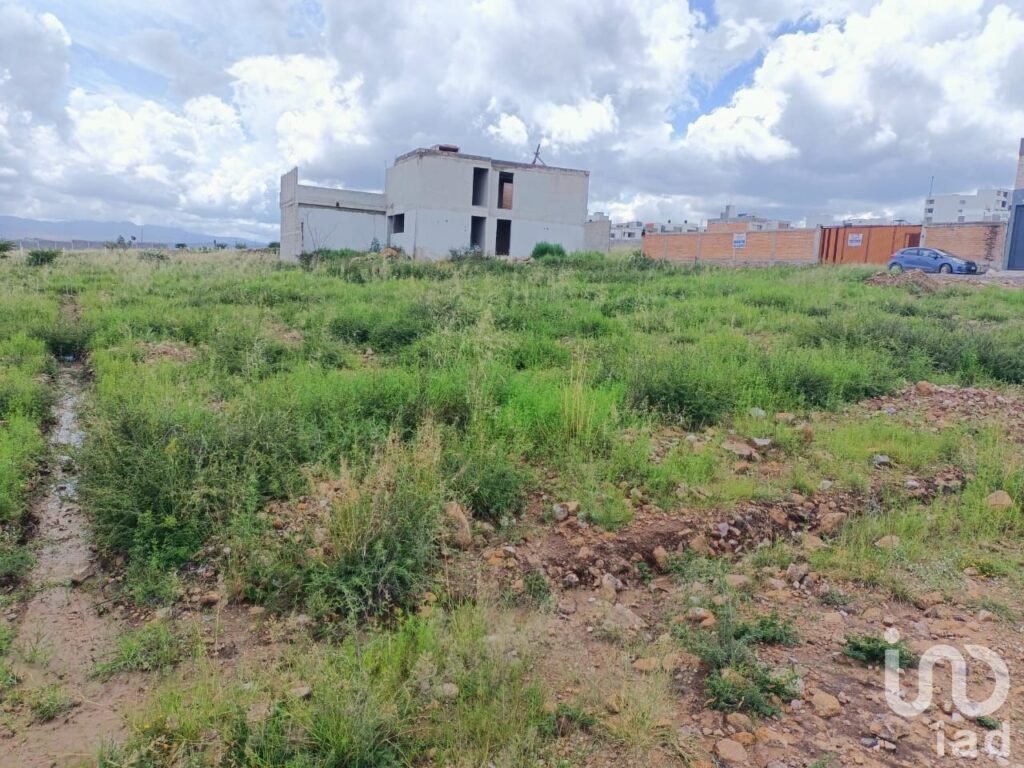 TERRENO EN VENTA EN FUERTE VENTURA, SLP
