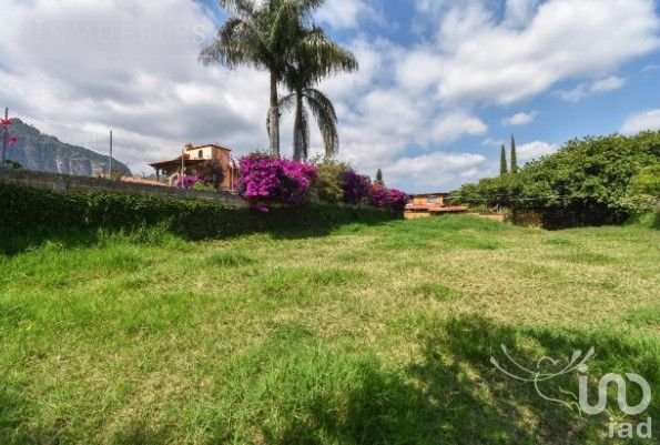 Terreno en Venta en Tlayacapan Morelos