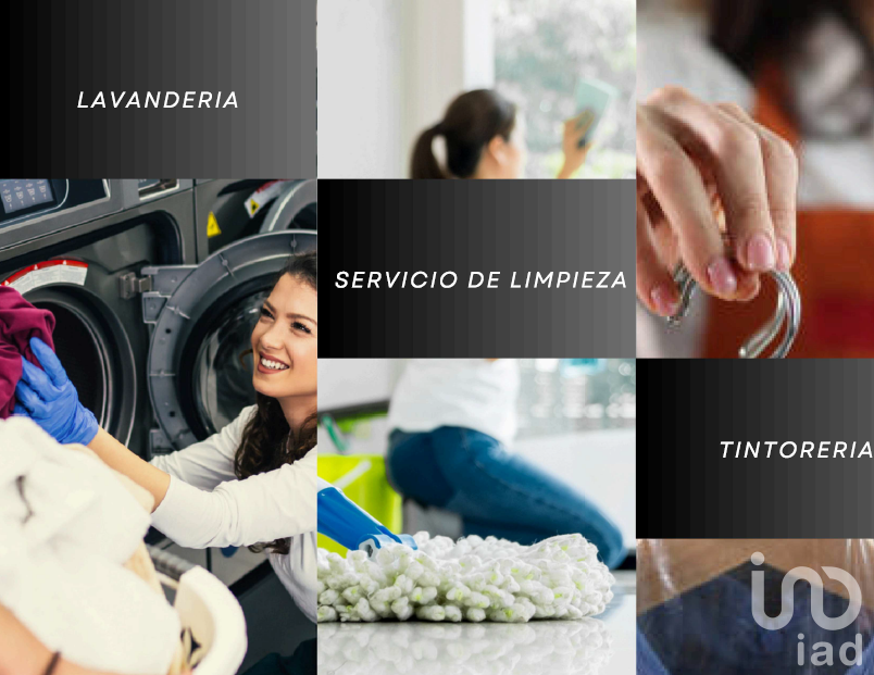 Exclusiva Preventa: Lofts Premium "Lirio - Reforma" en el corazón de Paseo de la Reforma.