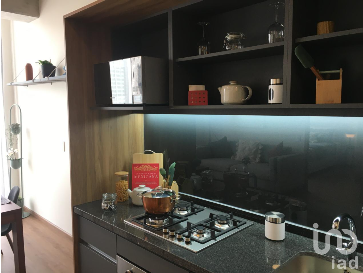 Departamento en Renta 1R 1B AMUEBLADO  (Amenidades Premium Incluidas)  "Inés" Nuevo Polanco.