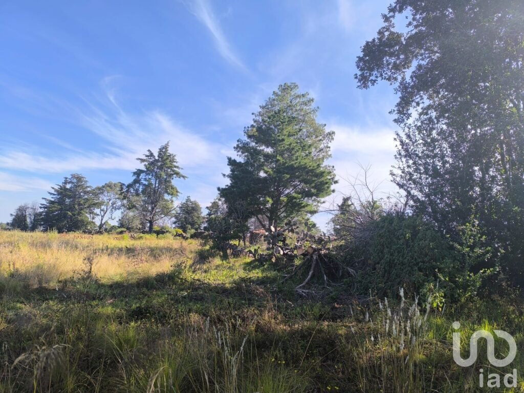 Terreno de 1 Hectarea a3 Km del Centro de Amealco