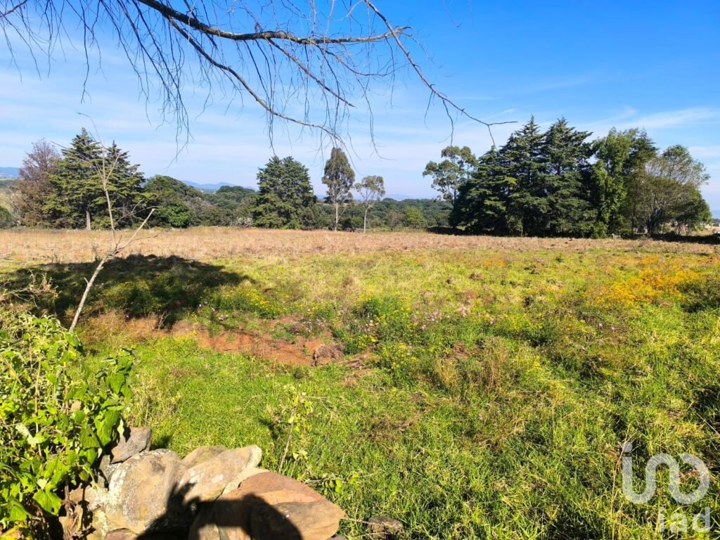 Terreno de 1 Hectarea a3 Km del Centro de Amealco - 2148425 terreno en venta terreno de 1 hectarea a3 km del centro de amealco 246367