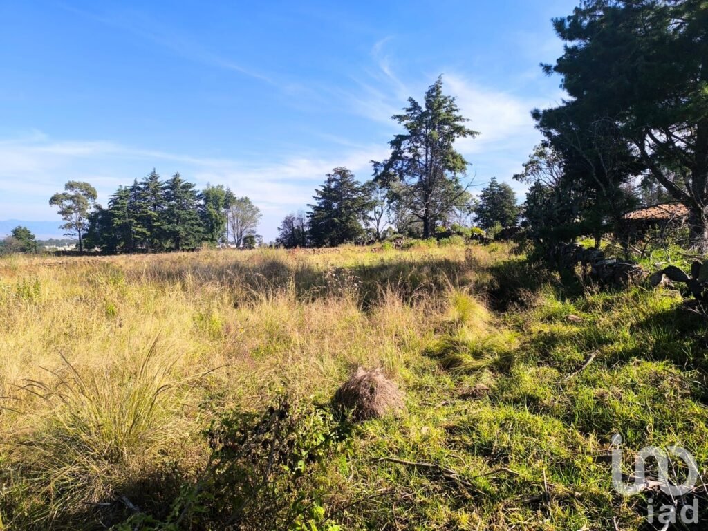 Terreno de 1 Hectarea a3 Km del Centro de Amealco