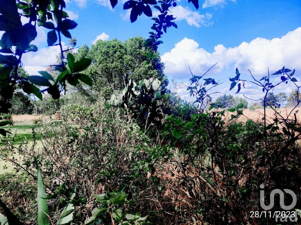 Terreno de 1 Hectarea a3 Km del Centro de Amealco