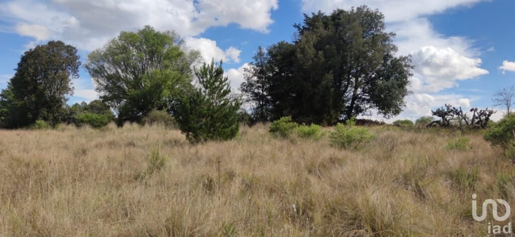 Terreno de 1 Hectarea a3 Km del Centro de Amealco