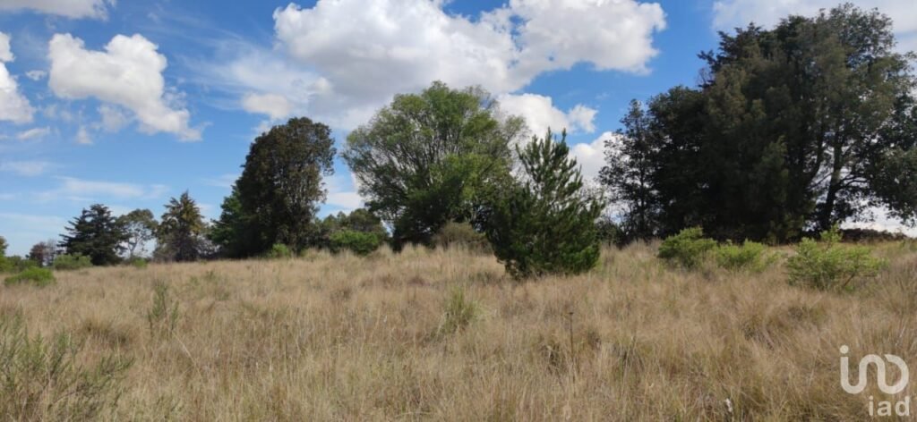 Terreno de 1 Hectarea a3 Km del Centro de Amealco