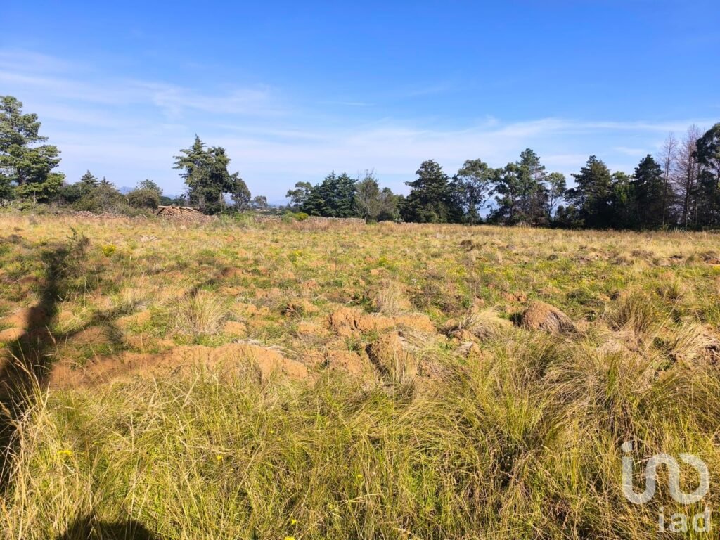Terreno de 1 Hectarea a3 Km del Centro de Amealco