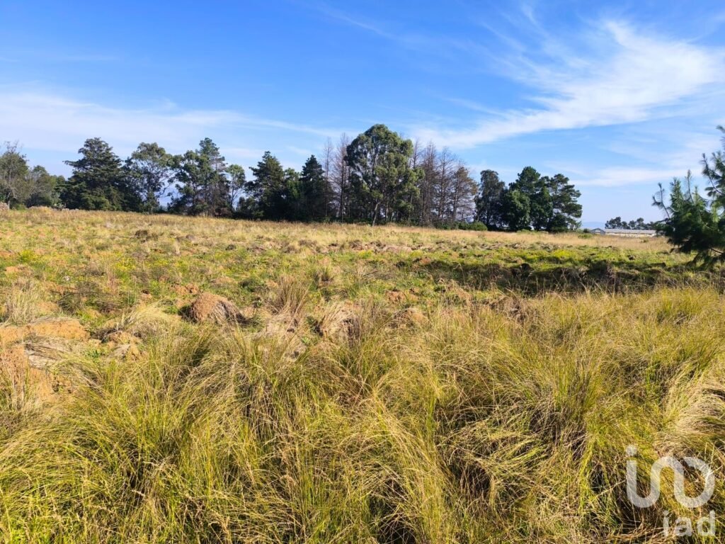 Terreno de 1 Hectarea a3 Km del Centro de Amealco