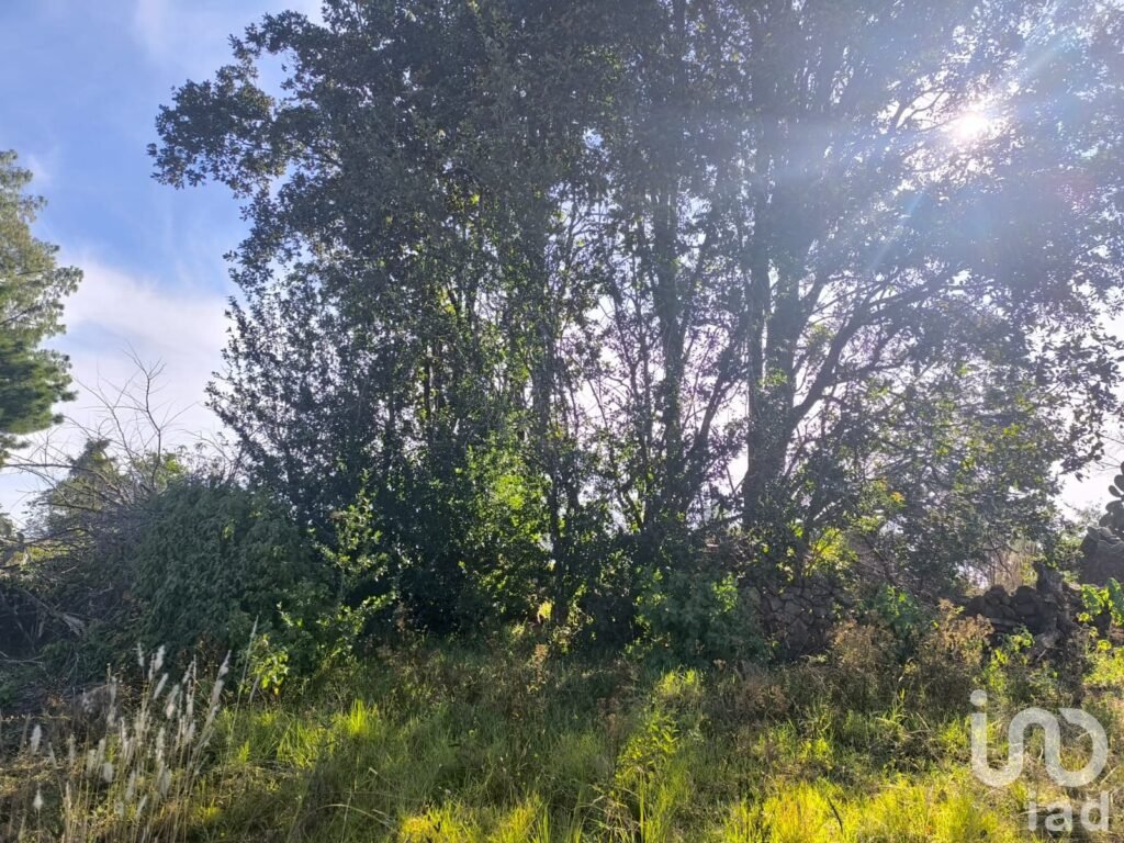Terreno de 1 Hectarea a3 Km del Centro de Amealco