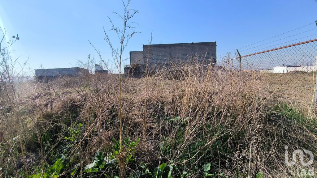 SE VENDE TERRENO EN RANCHO LA MORA, TONANITLA