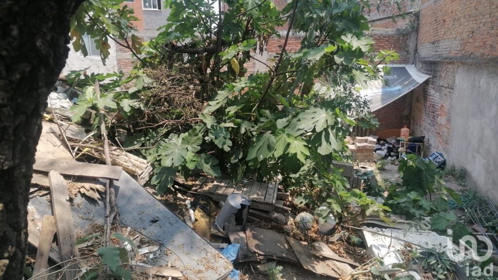 Terreno en Venta en Anáhuac con uso de suelo habitacional o comercial